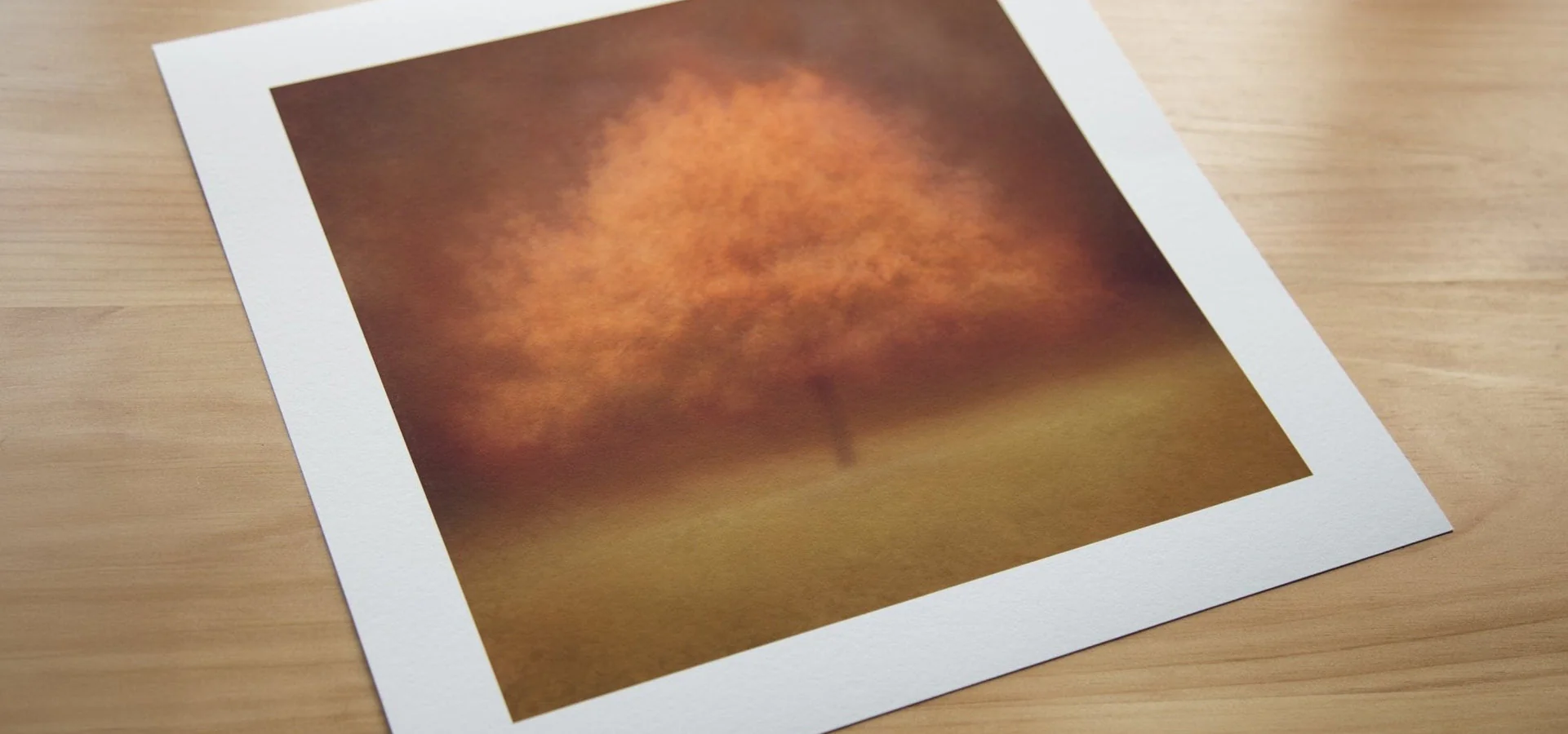 Autumnal Fine Art Tree Print 'Eilan' - Image 7