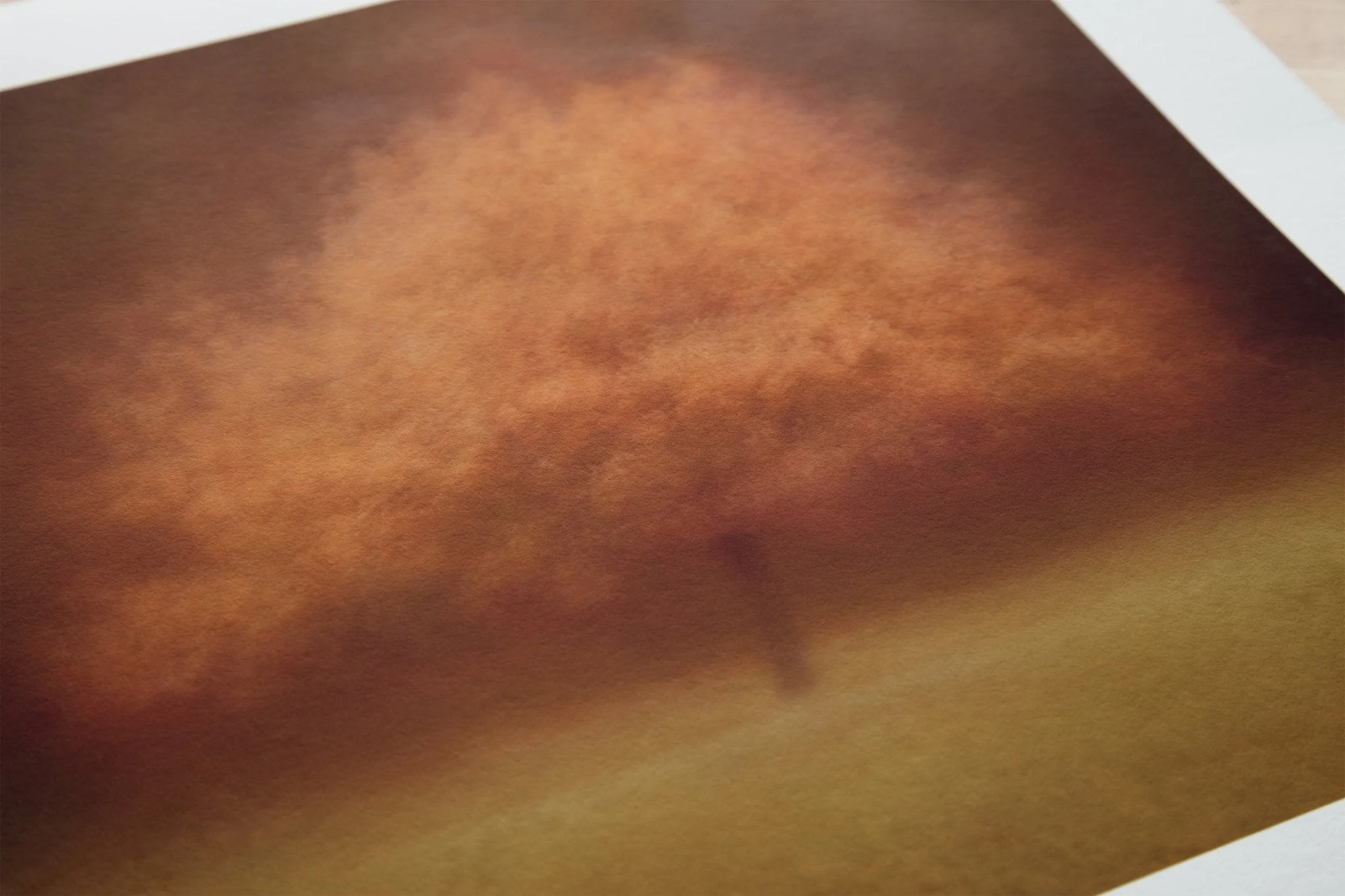 Autumnal Fine Art Tree Print 'Eilan' - Image 8