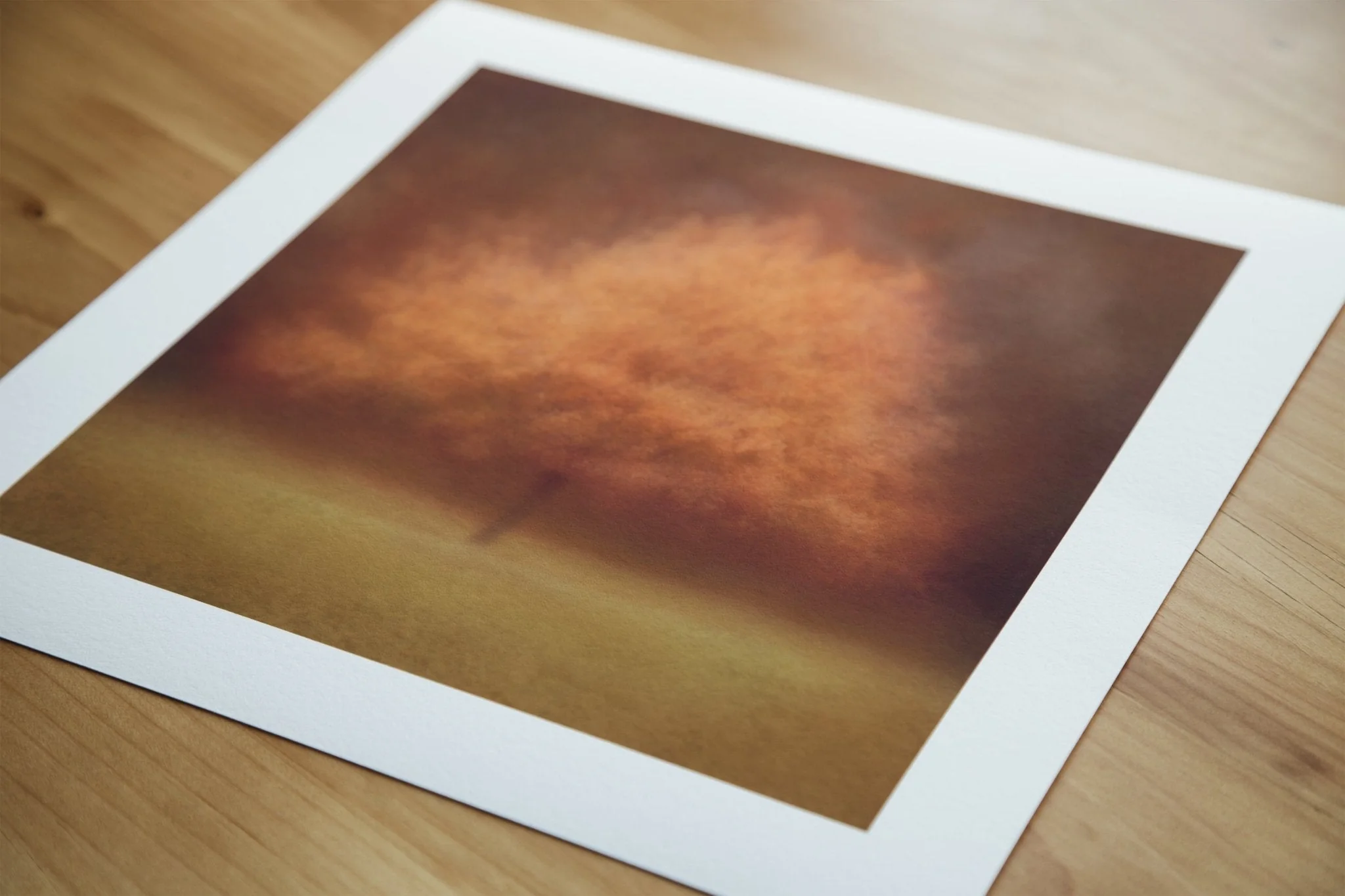 Autumnal Fine Art Tree Print 'Eilan' - Image 9