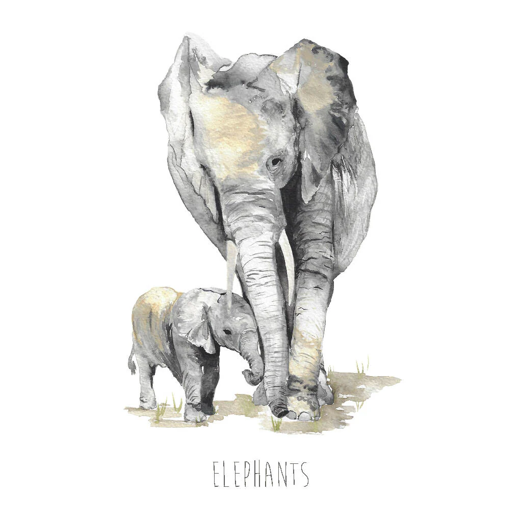 Elephants Watercolour Art Print - Image 2