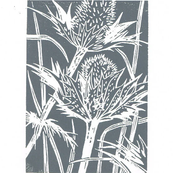 Eryngium Seedhead in Caramel - Open Ended Edition - Original Linocut Print - Image 7