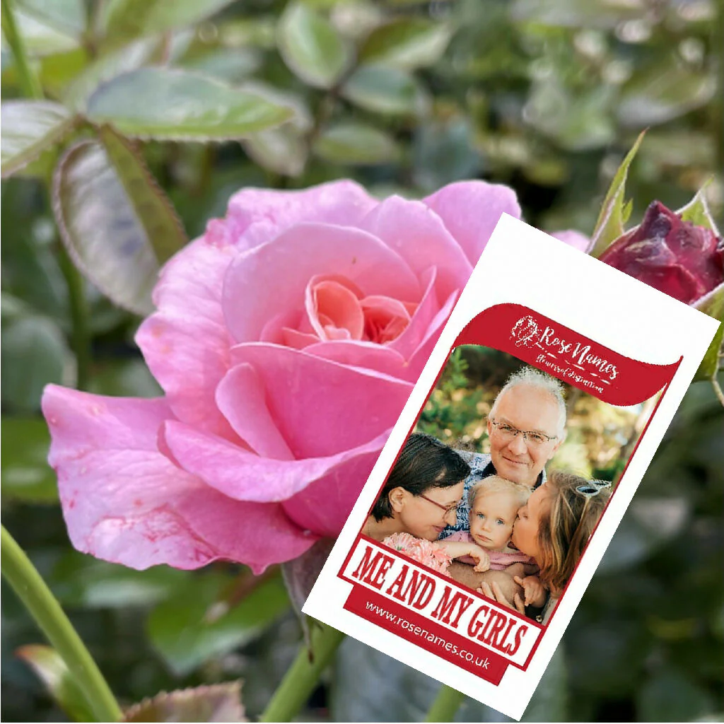 Father's Day Name your own Rose and Bottle of Red Wine - Image 5