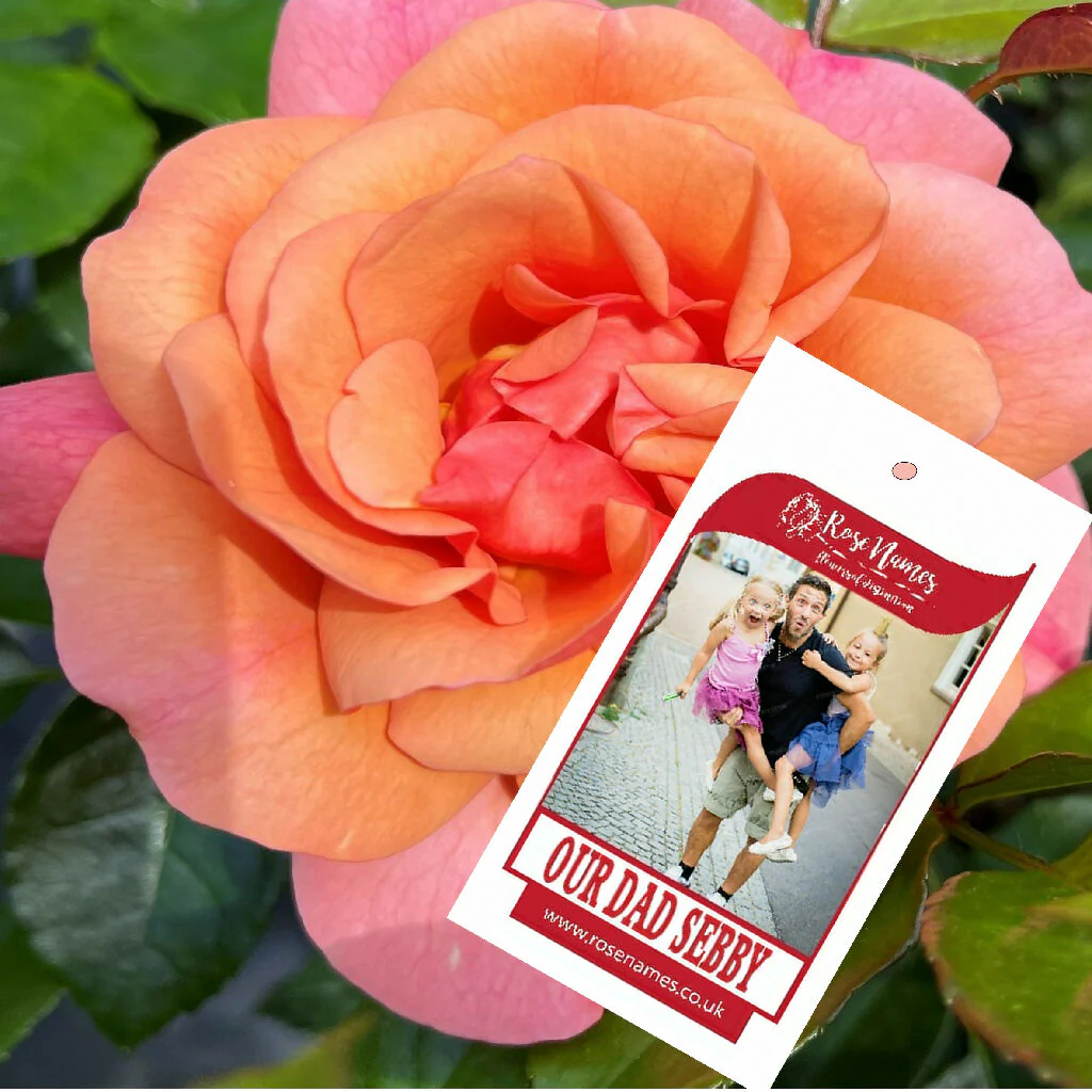 Father's Day Name your own Rose and Bottle of Red Wine - Image 8
