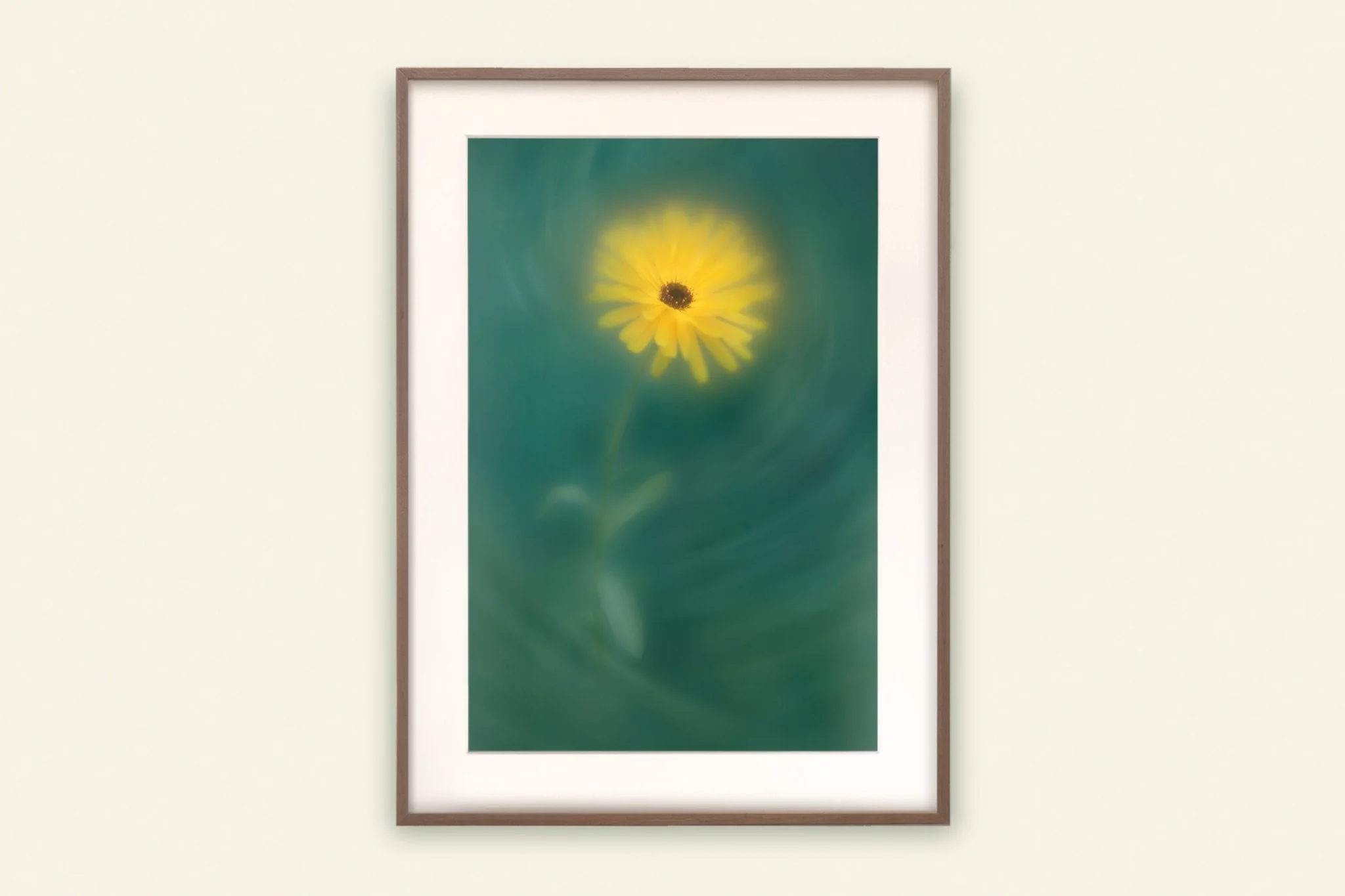 Flower Art Print for Home Interiors 'Field Marigold' - Image 2
