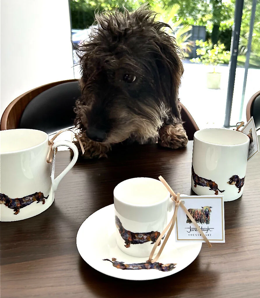 Fine China Dachshund Jug - 2 Pint or Half Pint Options - Image 6