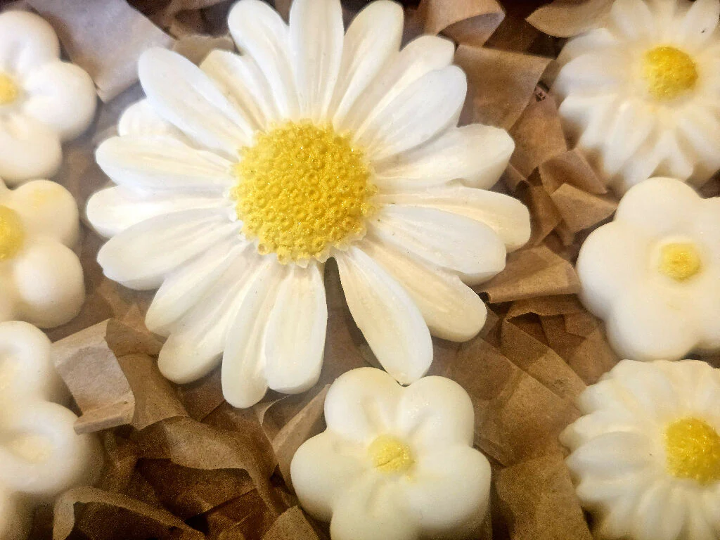 Floral Soy Wax Melt Gift Set – Perfume Inspired, Vegan Friendly - Image 5