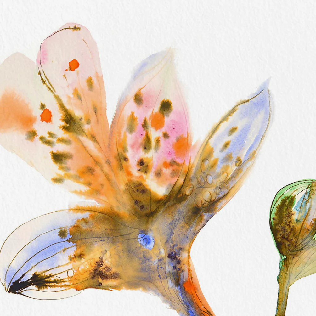 Flower Ink & Watercolour Giclée Fine Art Print - Image 4