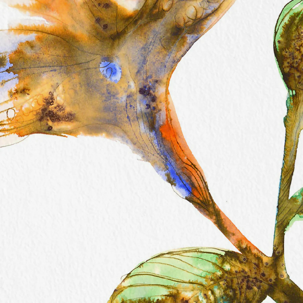 Flower Ink & Watercolour Giclée Fine Art Print - Image 5