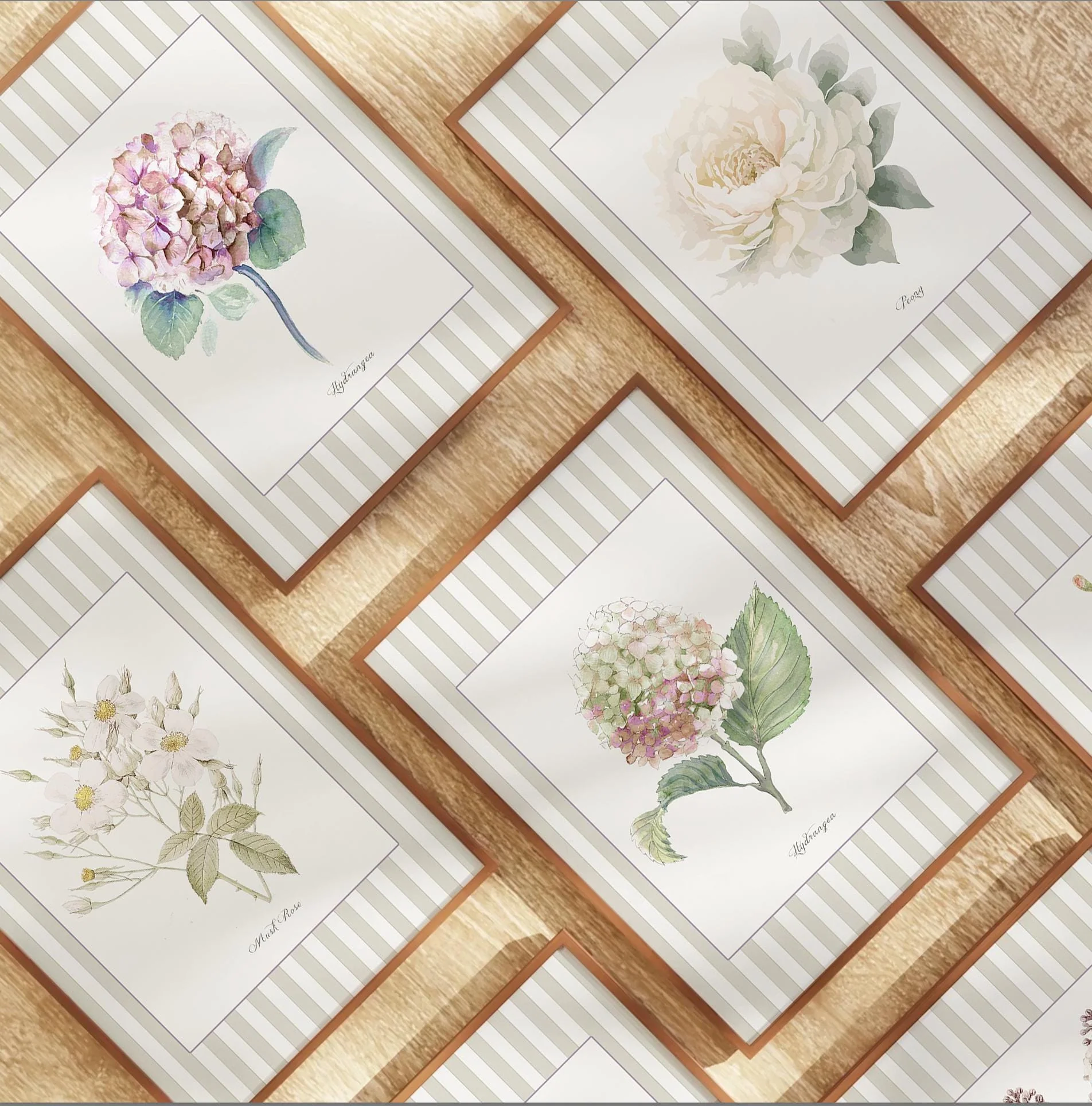 Flower Wall Art Botanical Illustration Musk Rose Vintage Garden Wildflower Wall Art - Image 5