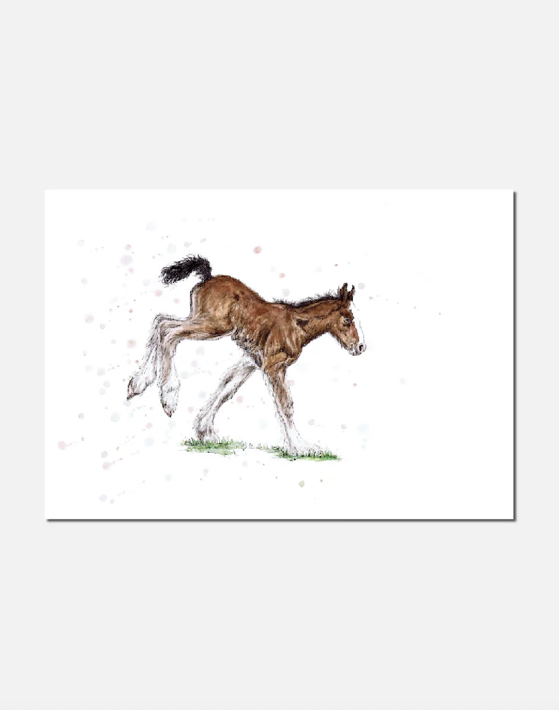 Foaling Around | Signed Limited Edition Print - Image 2