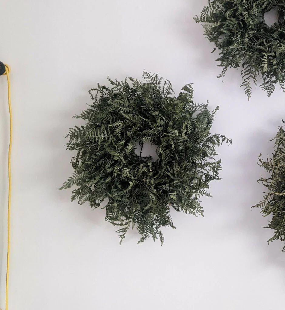 Forever Fern Wreath - Image 4