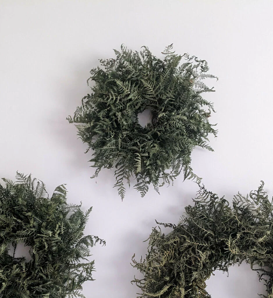 Forever Fern Wreath - Image 5
