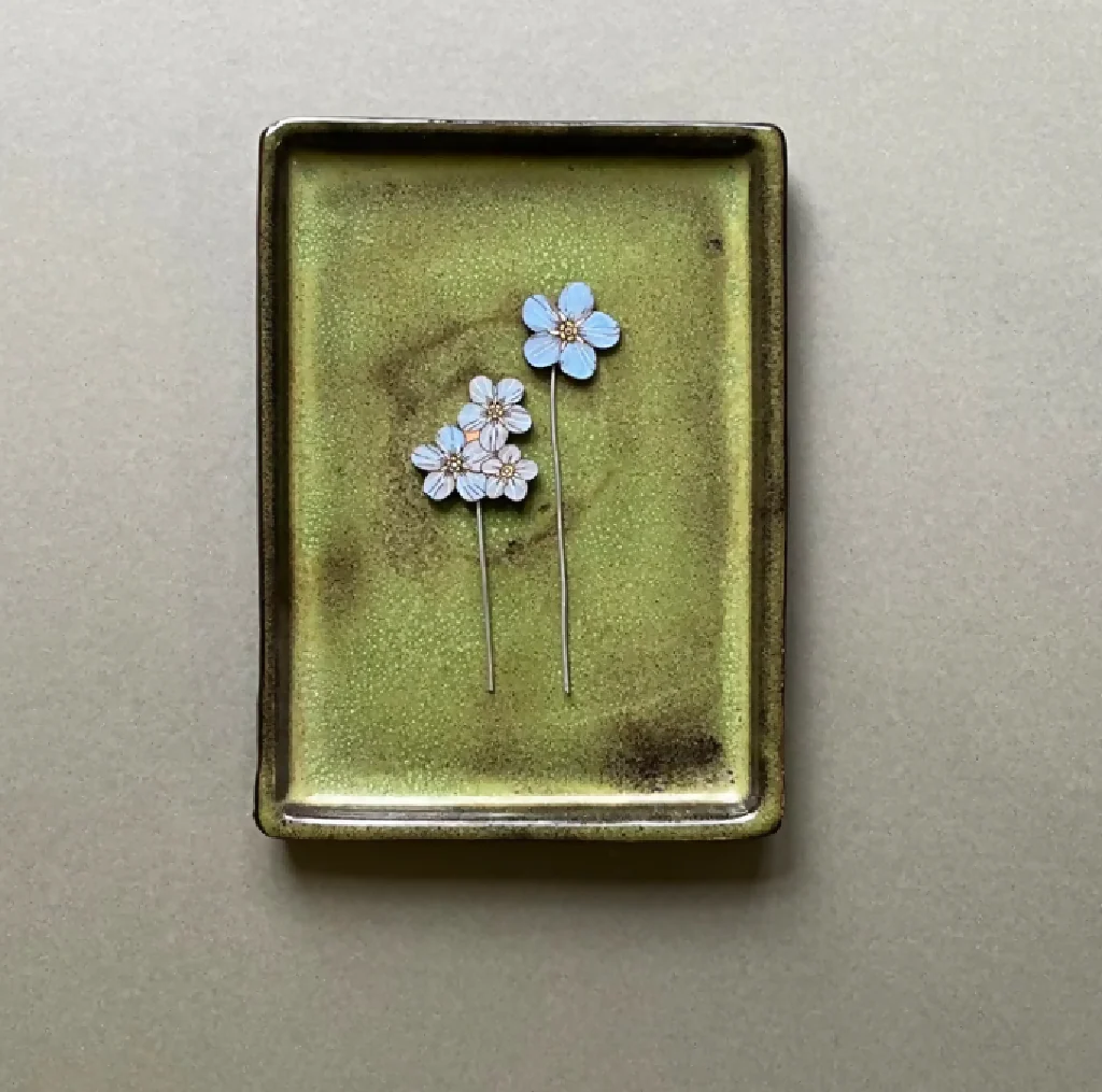 Forget Me Not Plant Pot Companions