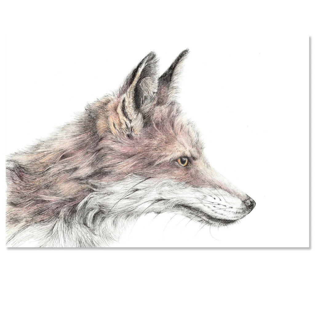Foxy - A5 Greeting Card - Image 2