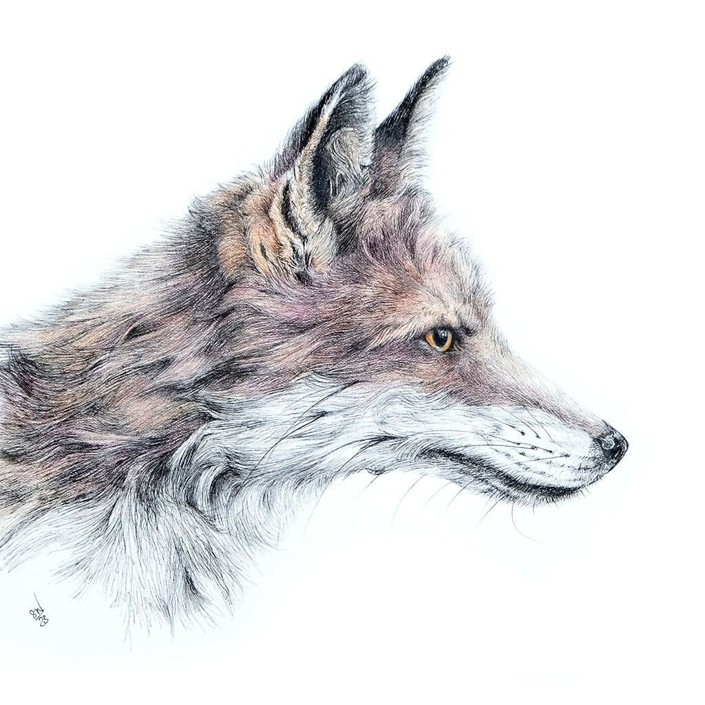 "Foxy" – Fine Art Giclée Print - Image 5