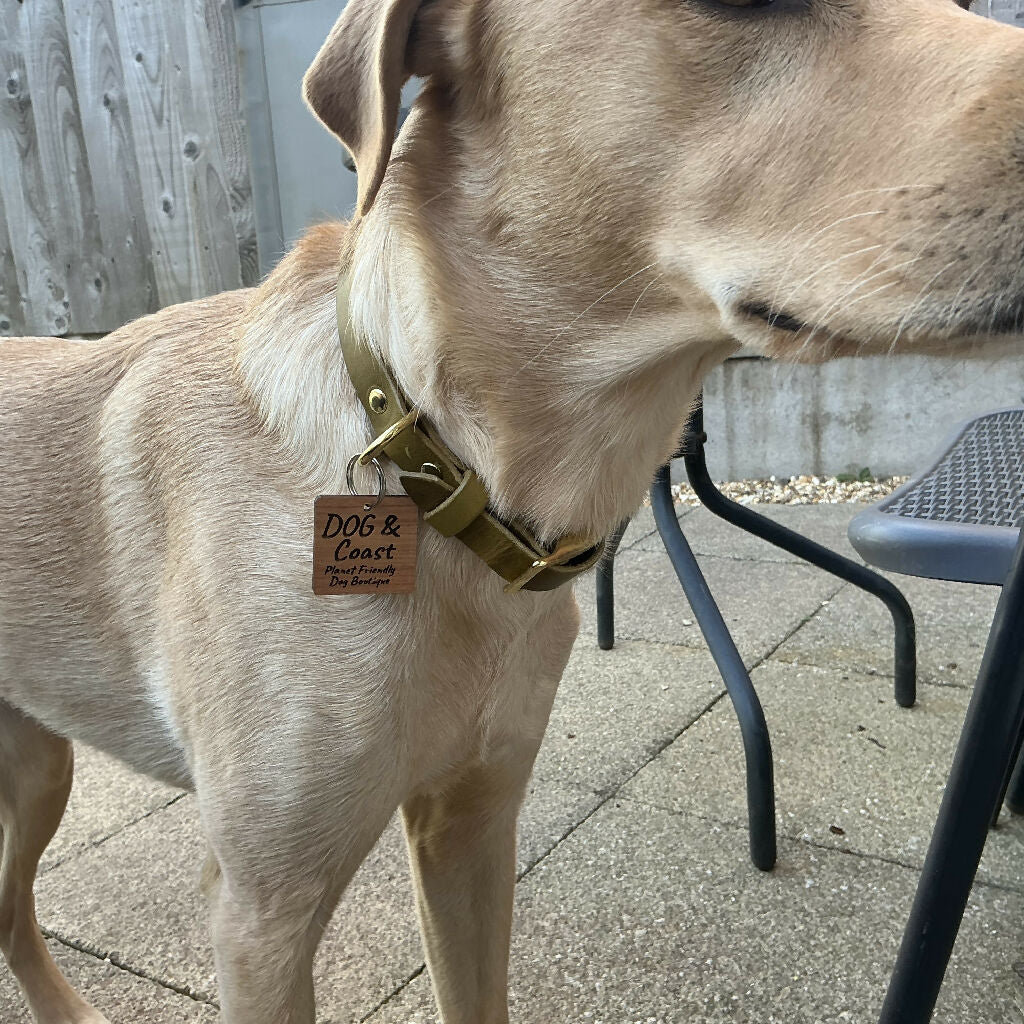 Full Grain Leather Dog Collar - Image 4