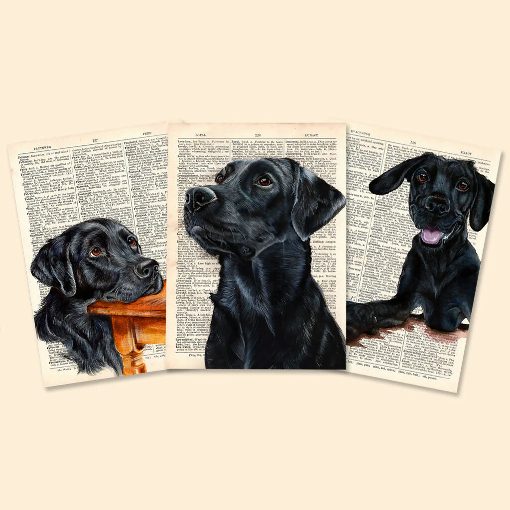 Funny Labrador A5 Greeting Cards - Set of 3 - Image 2