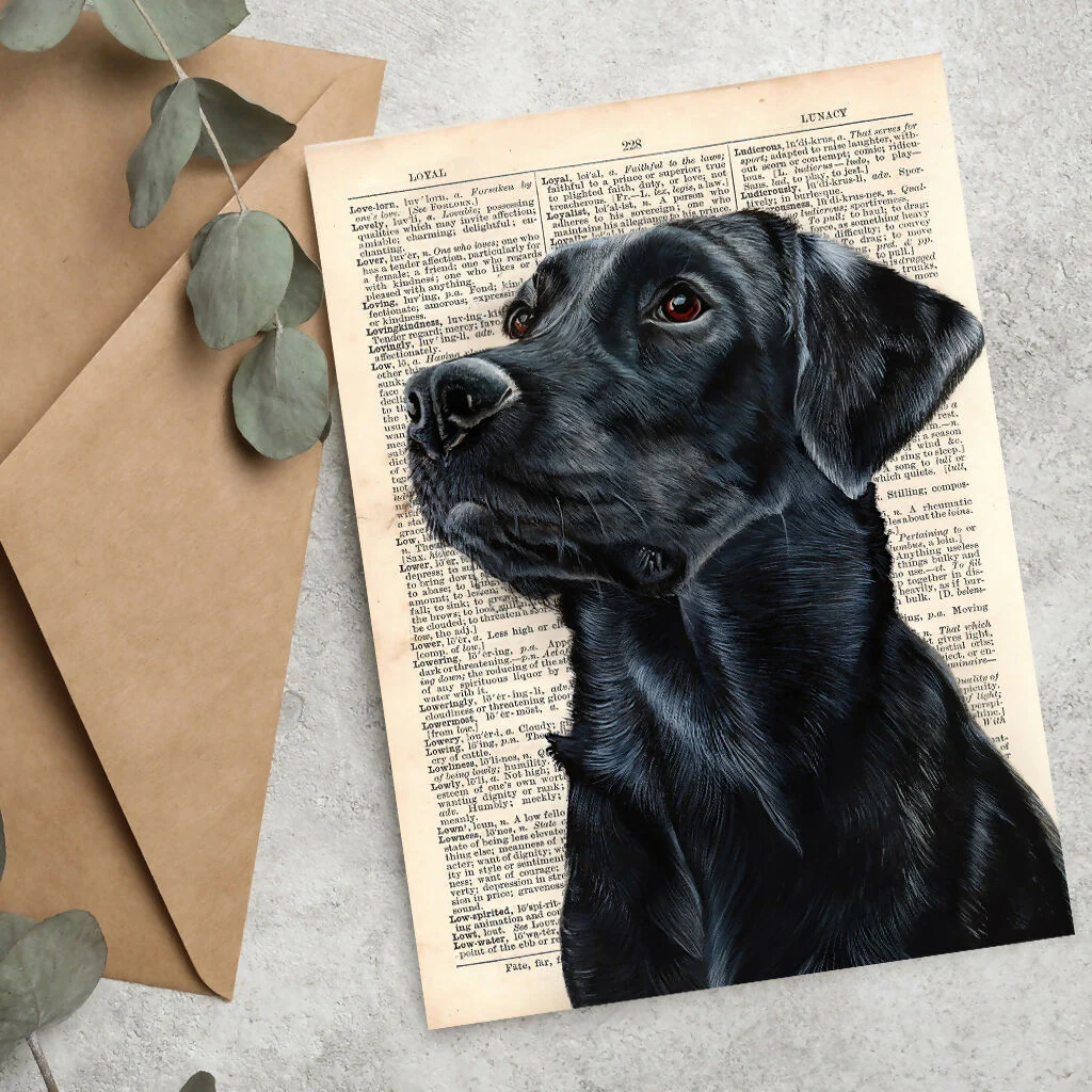 Funny Labrador A5 Greeting Cards - Set of 3 - Image 6
