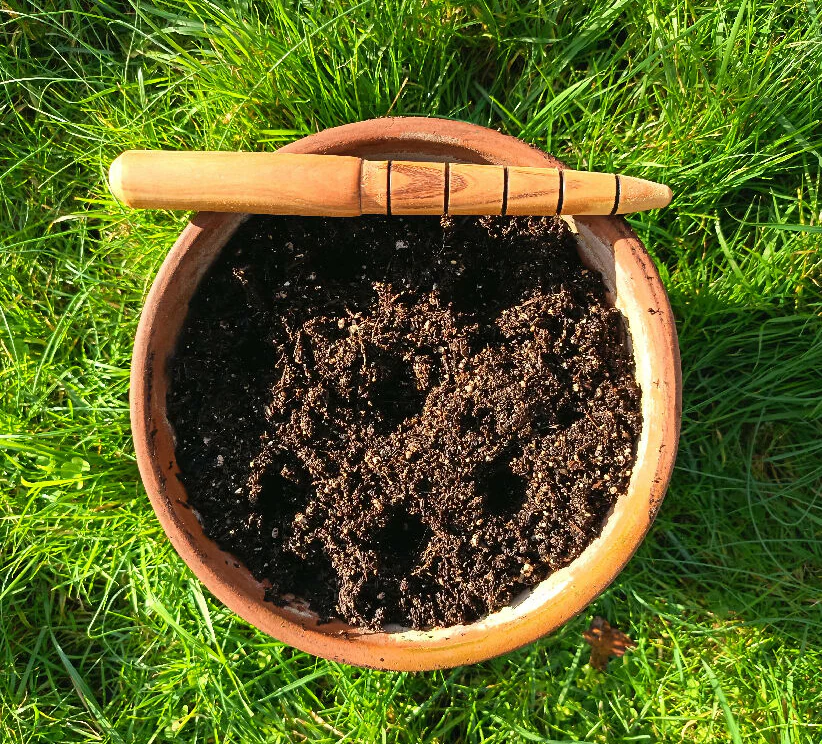 Garden Dibber - Cherry Wood - Marked in inches