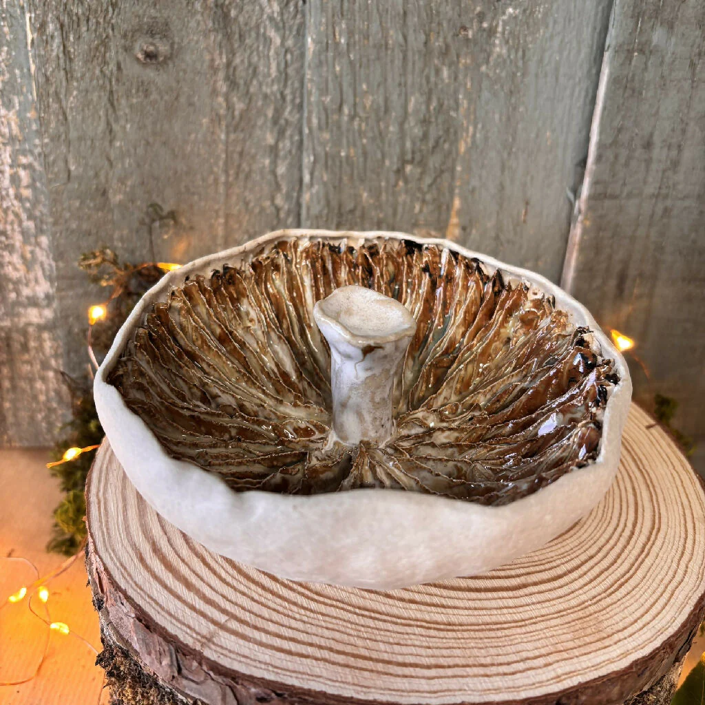 Giant field mushroom ceramic - Image 3