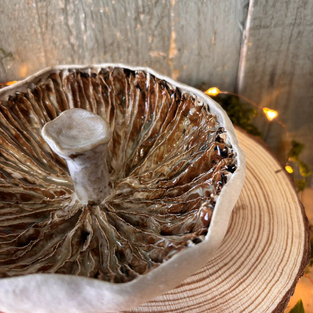 Giant field mushroom ceramic - Image 4
