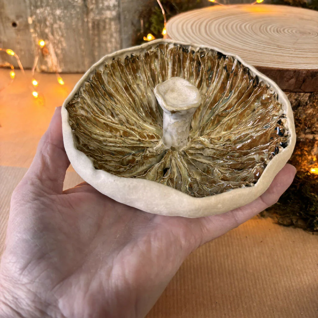 Giant field mushroom ceramic - Image 5