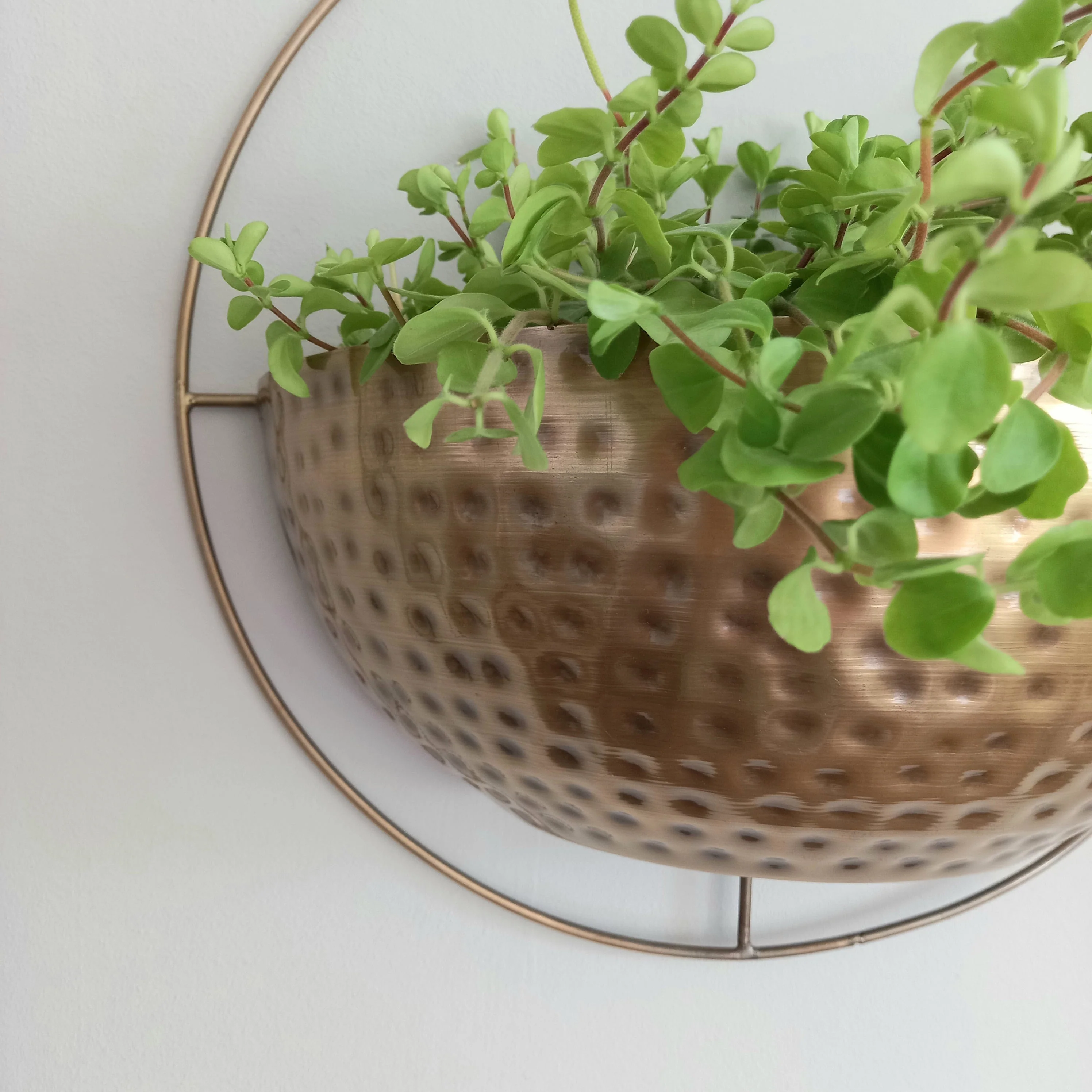 Gold Wall Planter - Image 10