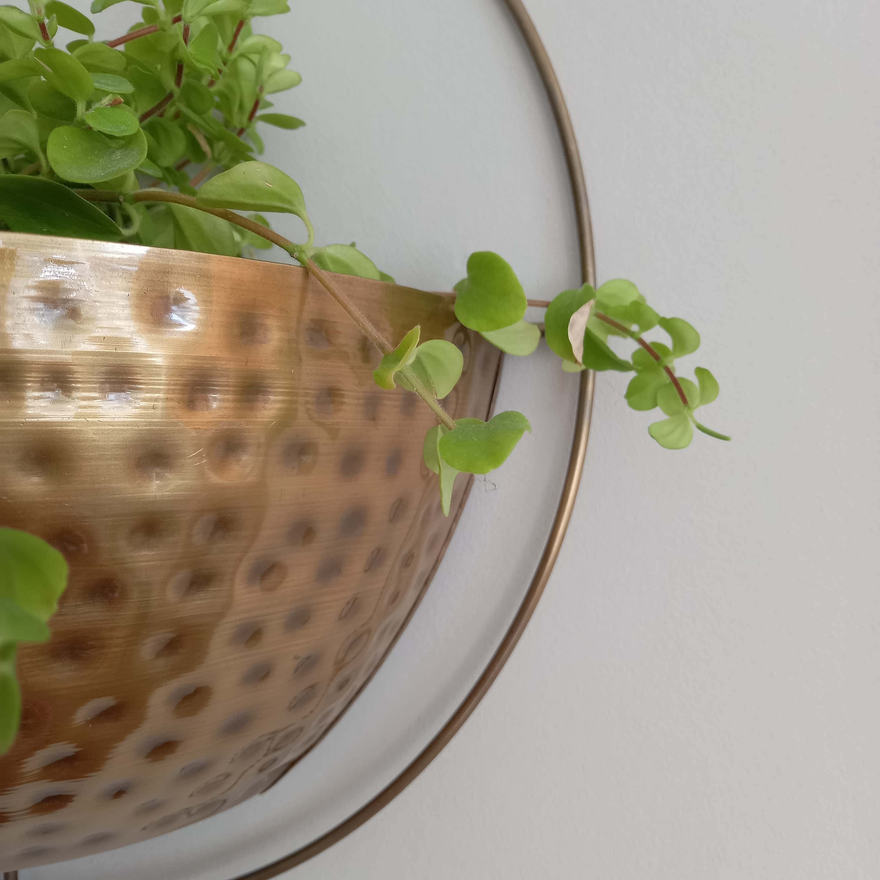 Gold Wall Planter - Image 5