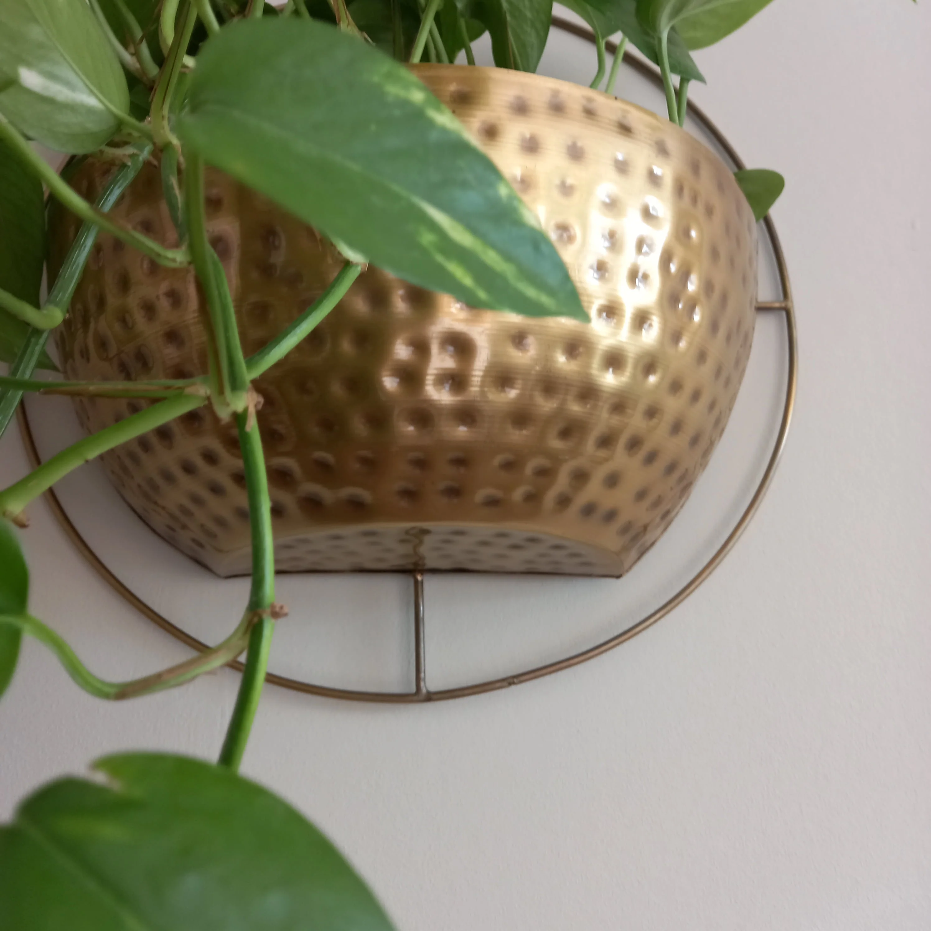 Gold Wall Planter - Image 6