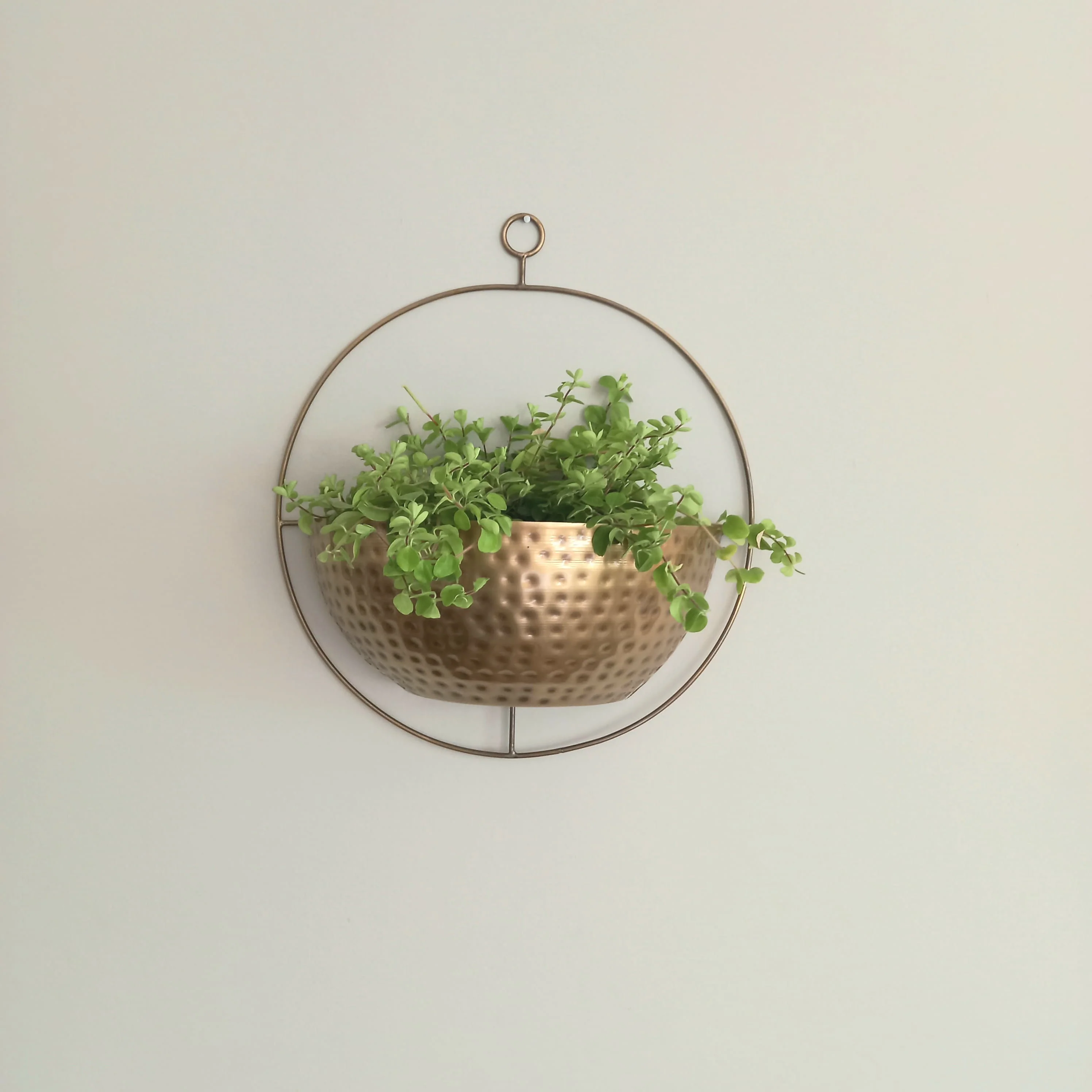 Gold Wall Planter - Image 8