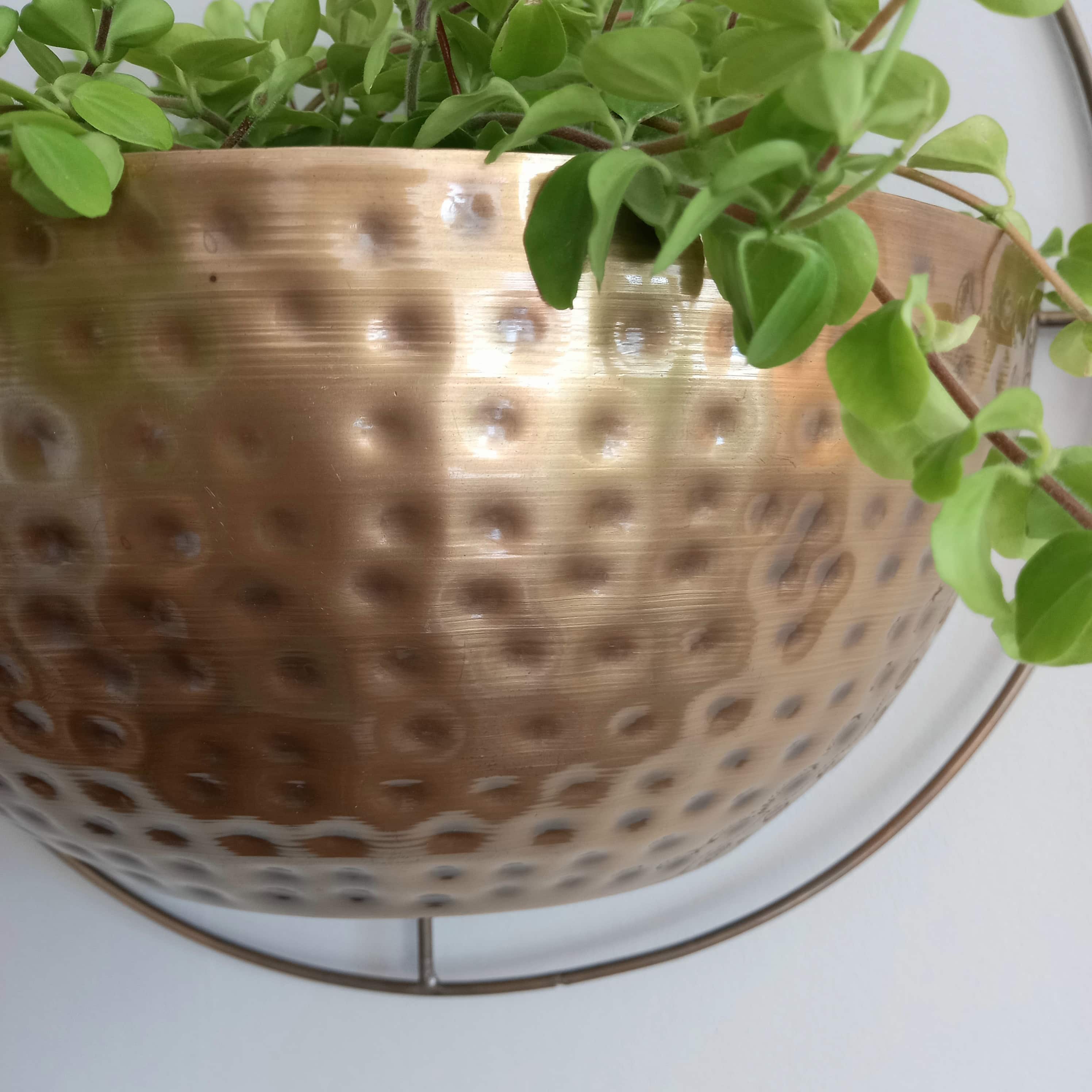 Gold Wall Planter - Image 9