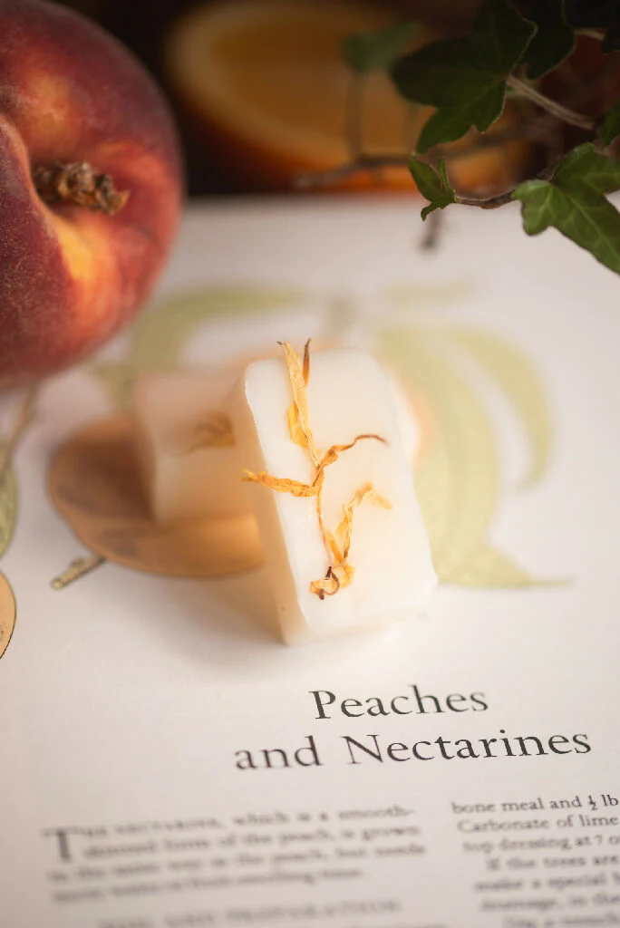 Golden Nectar botanical wax melt - Image 6
