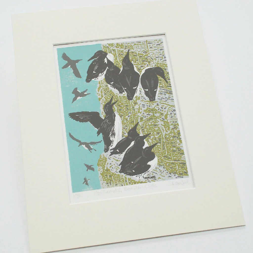 Guillemots, Bempton Cliffs - Limited Edition - Original Linocut Print - Image 2