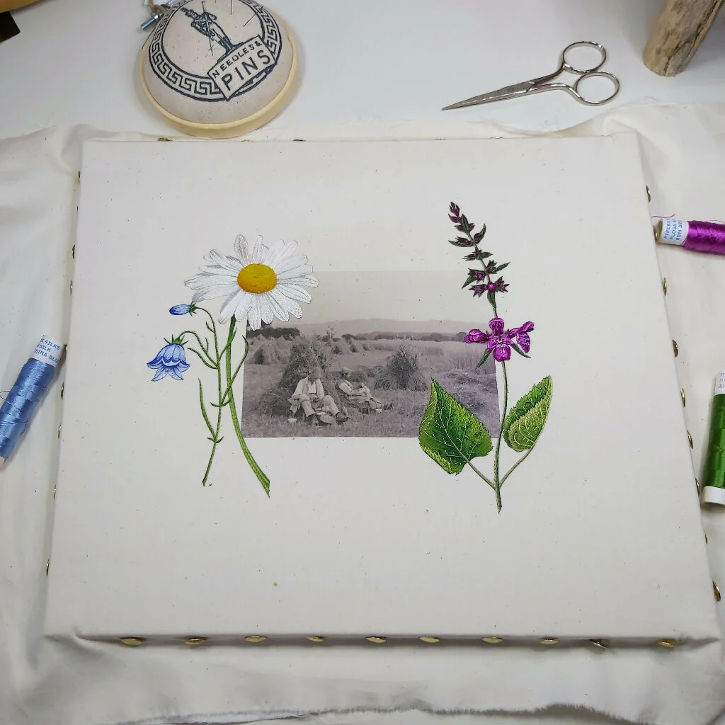 Hand Embroidered Art - Rophites Quinquespinosus - Image 2