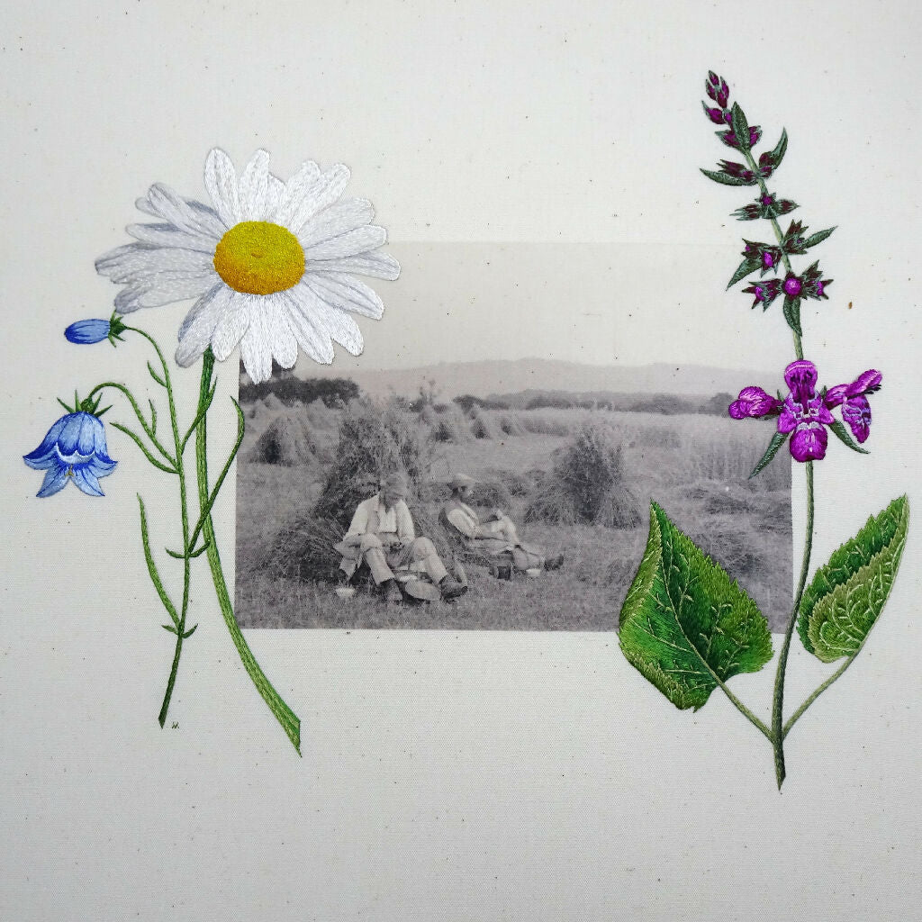 Hand Embroidered Art - Rophites Quinquespinosus - Image 3