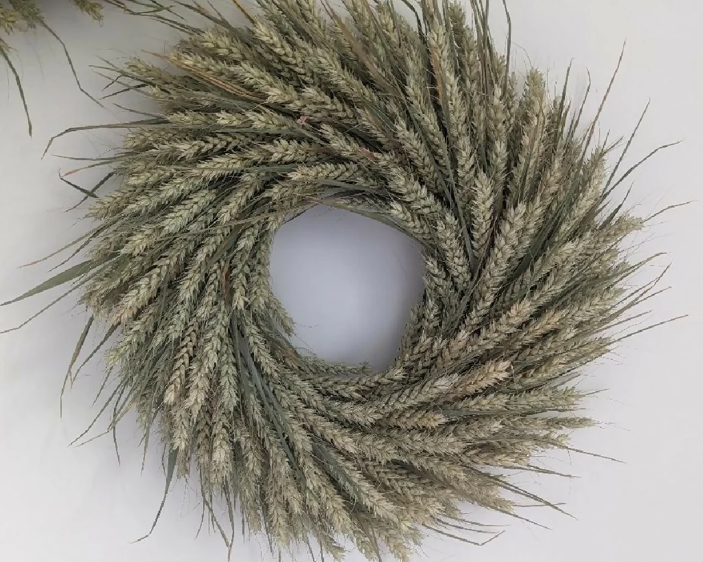 Handmade Forever Wreath Made From Wheat - Image 9