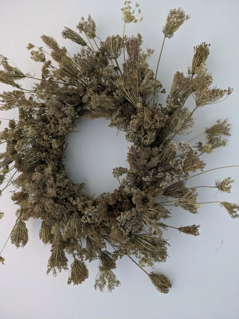 Handmade Wreath from Foraged Cows Parsley – 50cm - Image 4