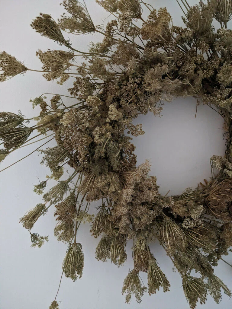 Handmade Wreath from Foraged Cows Parsley – 50cm - Image 5