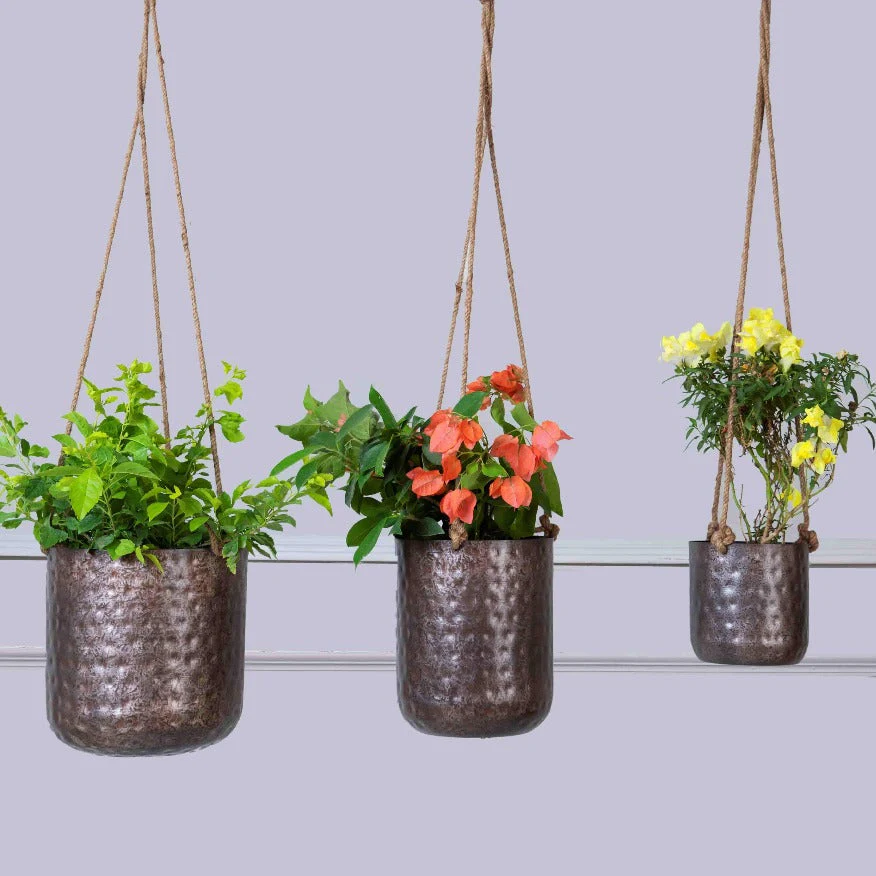 Hanging Antique Silver Planter