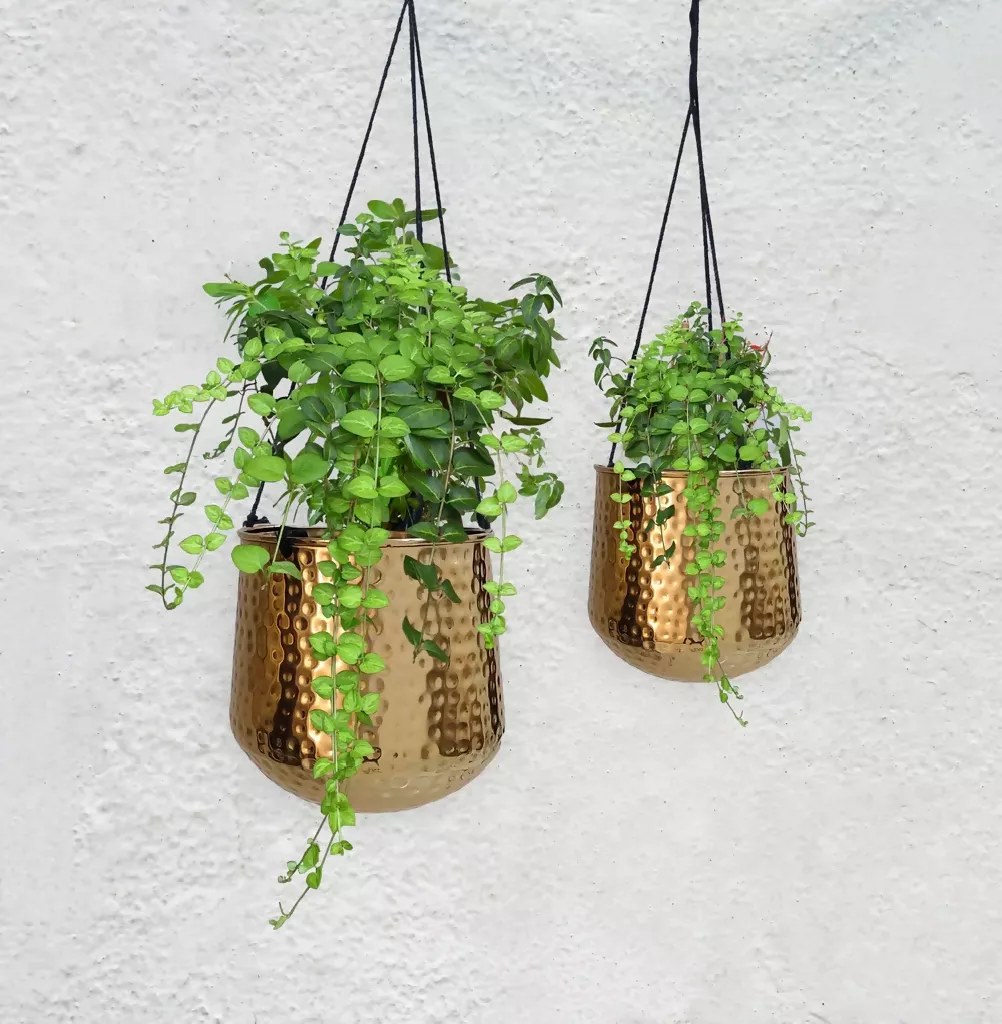 Hanging Brass Planters- Hammered Finish - Image 2