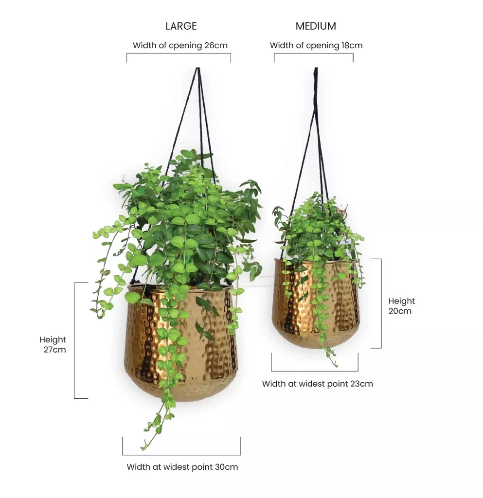 Hanging Brass Planters- Hammered Finish - Image 3