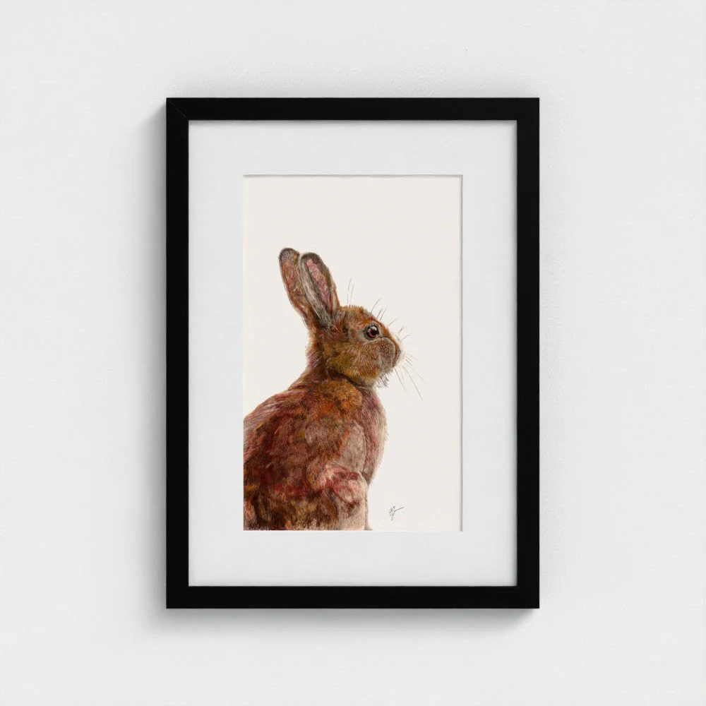 Hare Art Print | Cream Background | British Wildlife Wall Art | Open Edition - Image 3