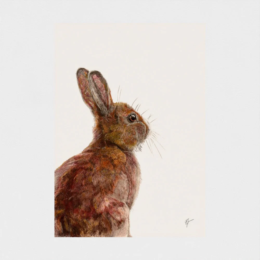 Hare Art Print | Cream Background | British Wildlife Wall Art | Open Edition - Image 4