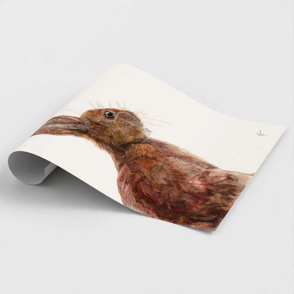Hare Art Print | Cream Background | British Wildlife Wall Art | Open Edition - Image 6