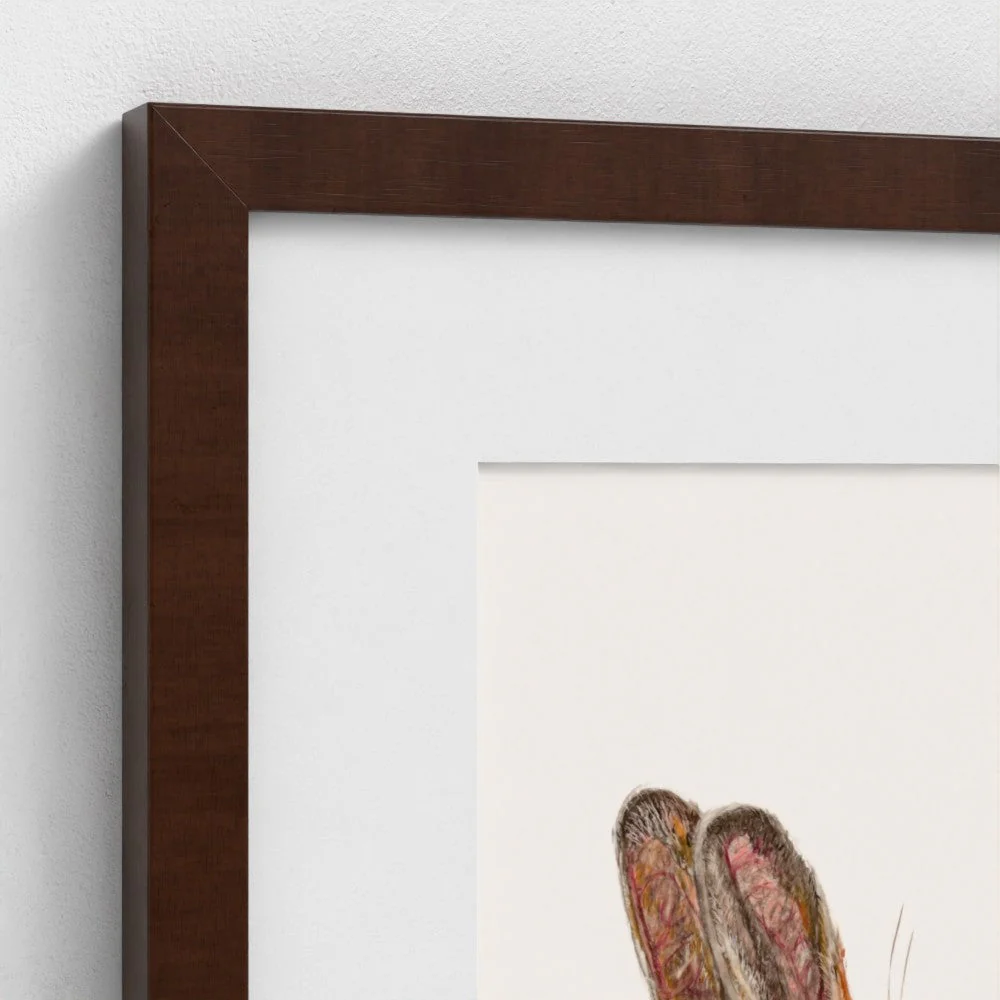 Hare Art Print | Cream Background | British Wildlife Wall Art | Open Edition - Image 7