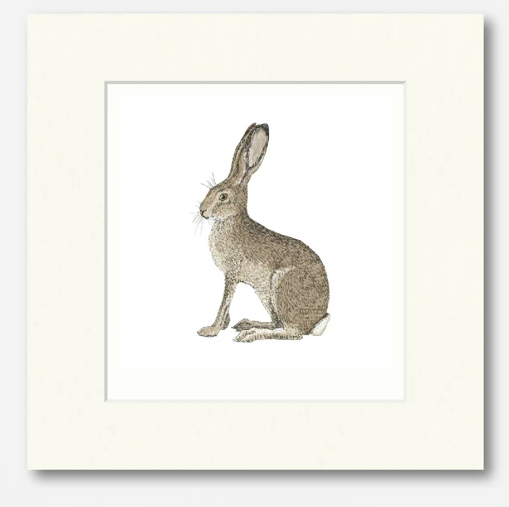Hare White -Signed and mounted Giclée Art Print - Image 4