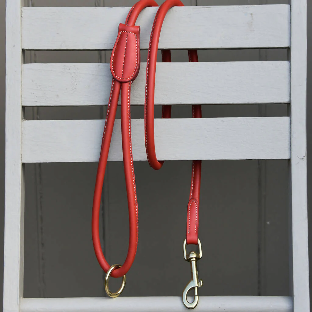 Harlyn Rolled Leather Lead - Image 11