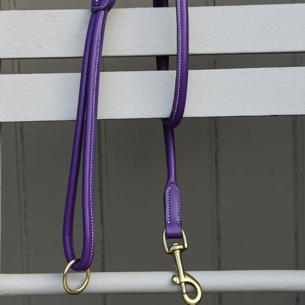 Harlyn Rolled Leather Lead - Image 12