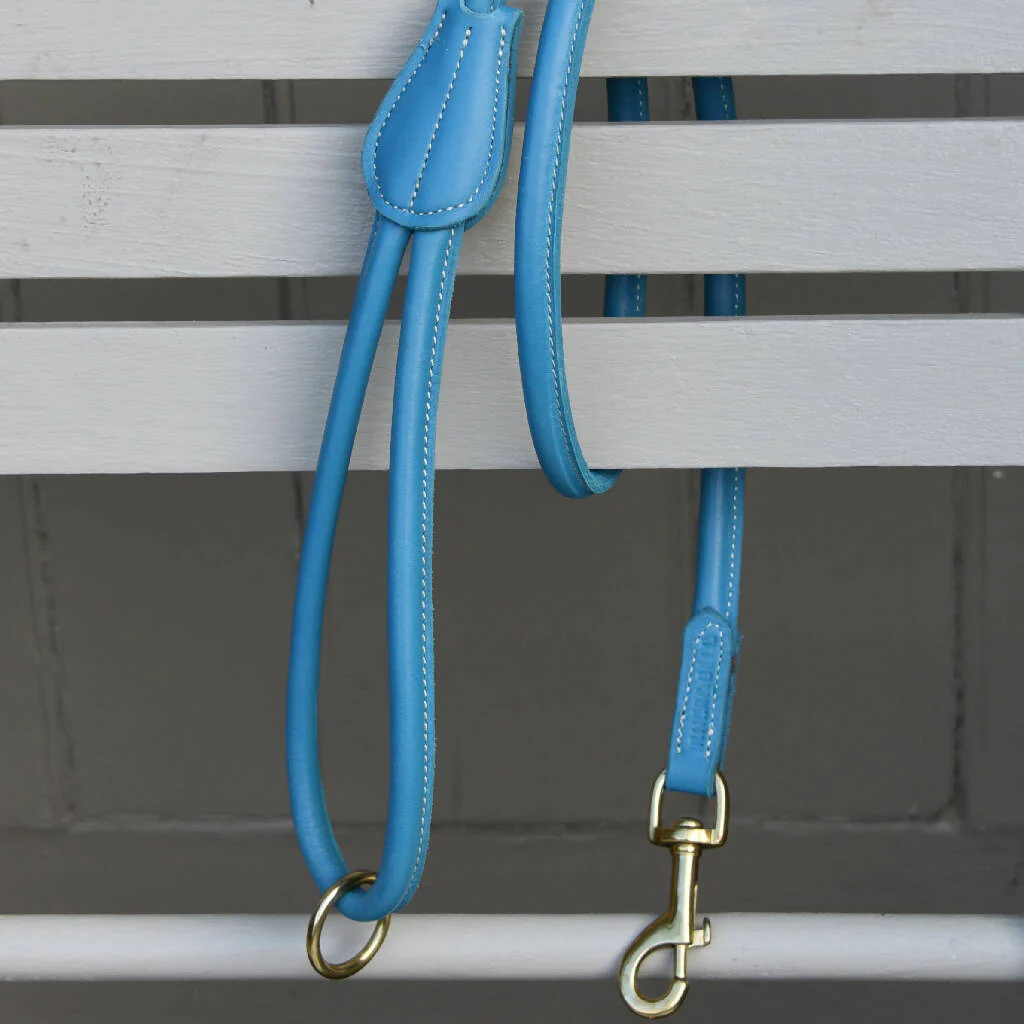 Harlyn Rolled Leather Lead - Image 8