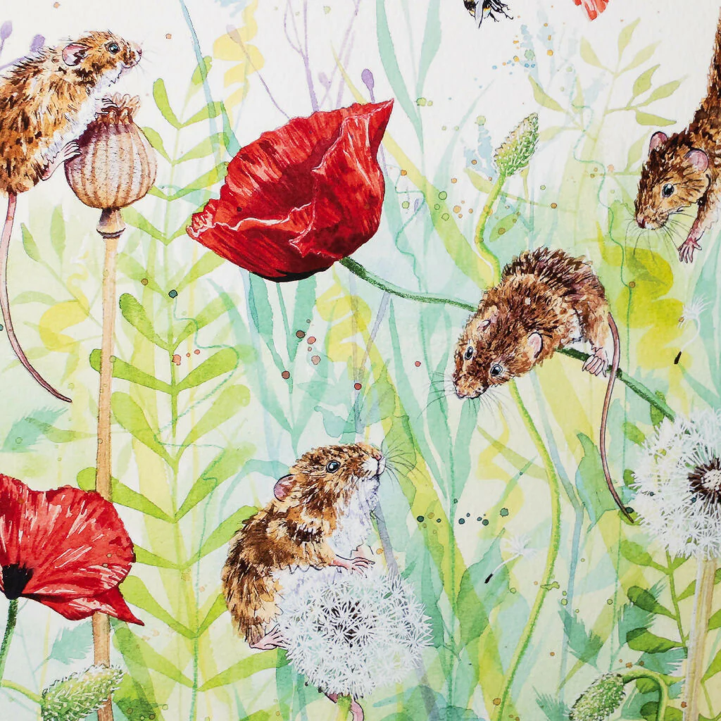 Harvest Mice & Poppies Limited Edition Print 'Hide and Squeak' | Jina Gelder Illustration - Image 5